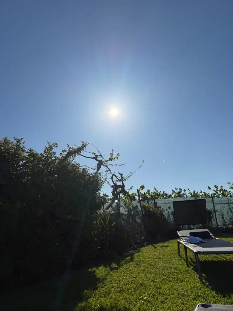Jardín de Casa o chalet de alquiler en Salobreña con Calefacción, Jardín privado y Terraza