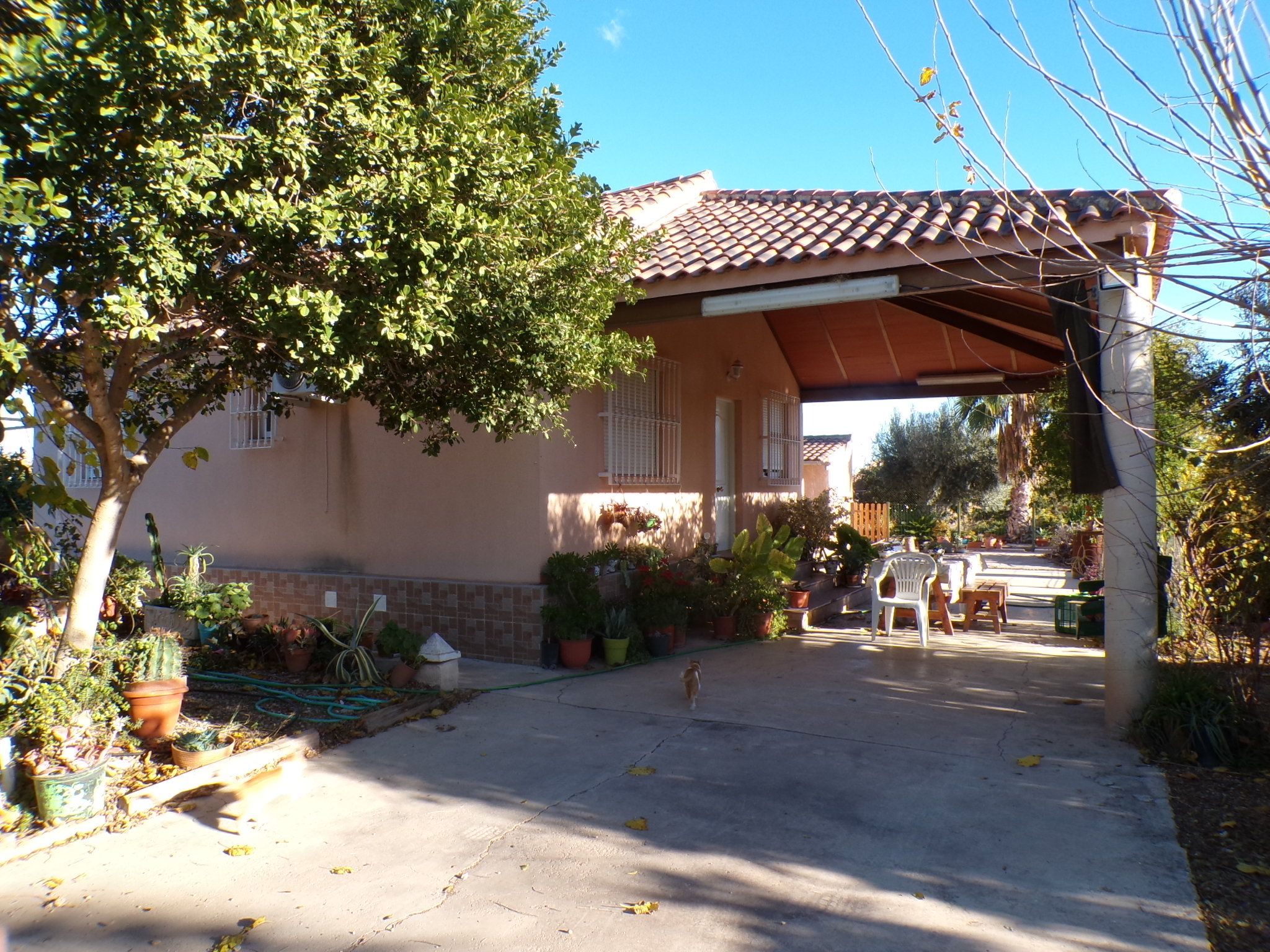 Exterior view of House or chalet for sale in  Murcia Capital  with Private garden, Terrace and Storage room