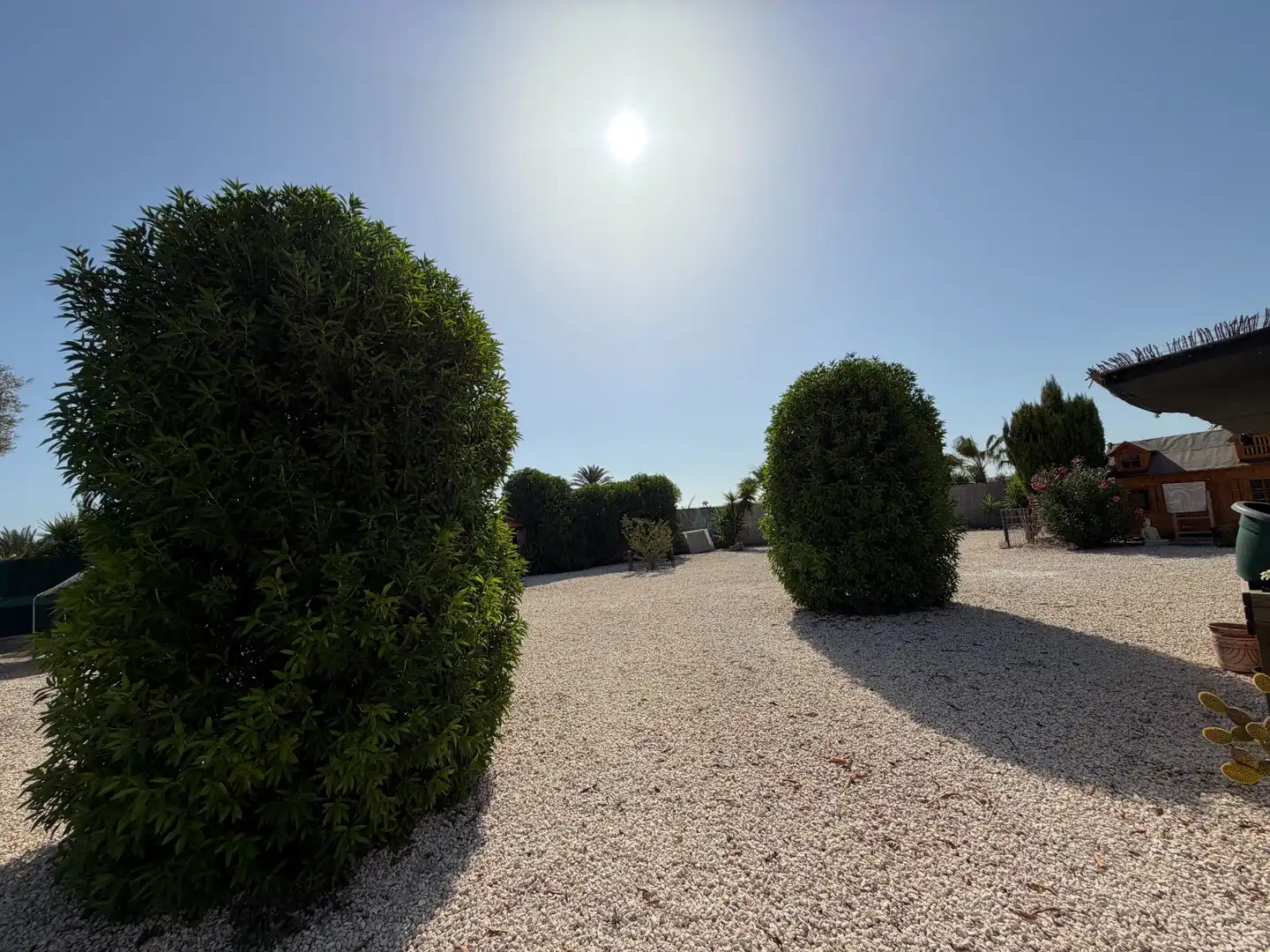 Casa rustica con piscina in vendita a La Marina, imagen 50