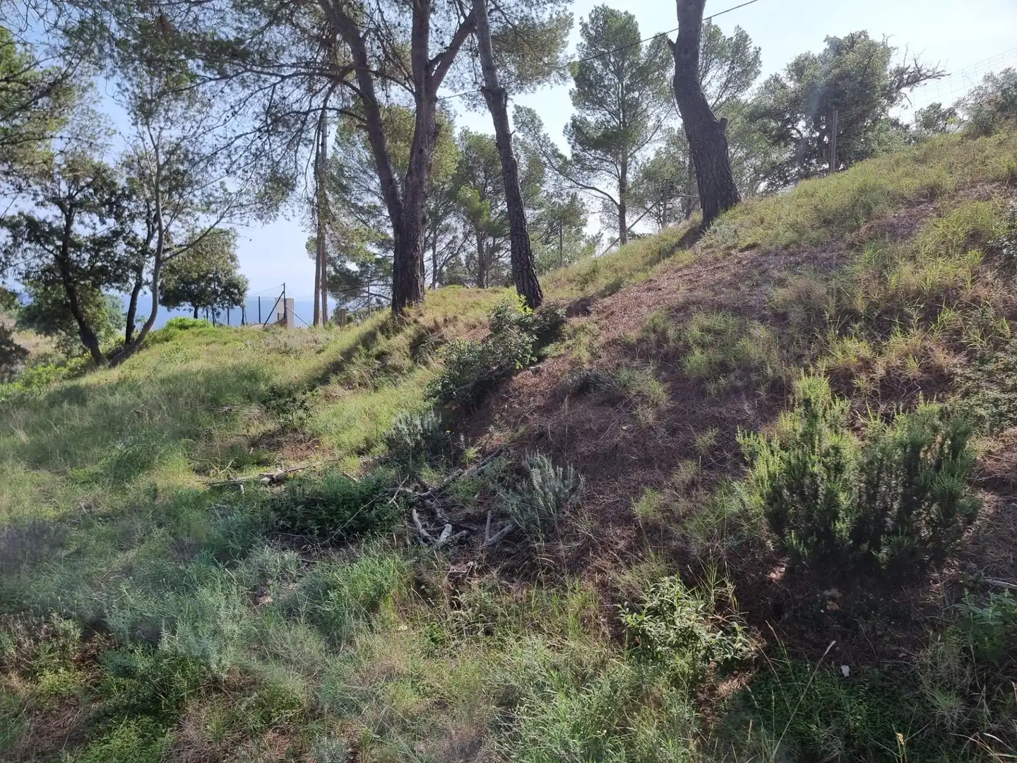 Grundstücke und Bauplätze zum Verkauf in Tossa de Mar pueblo, imagen 9