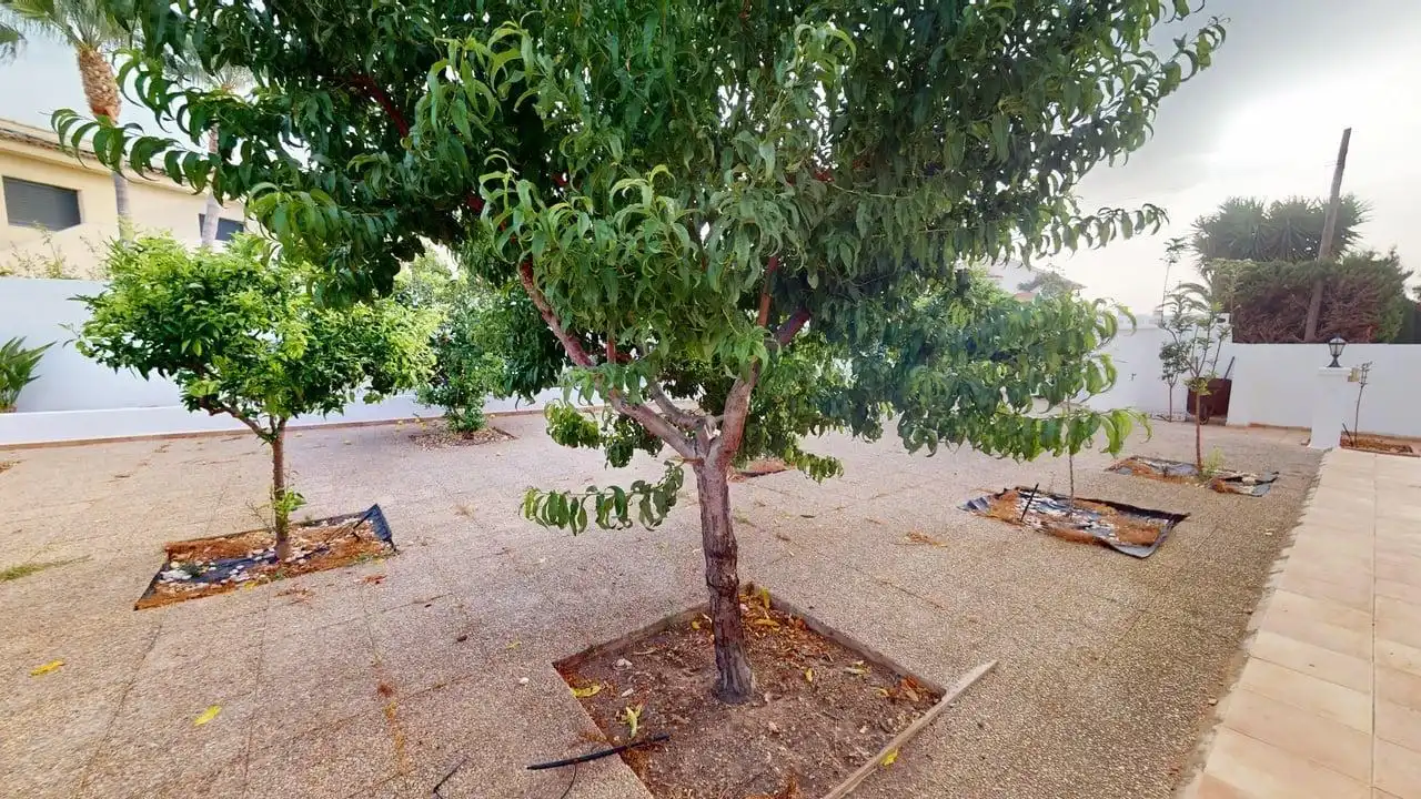 Casa o xalet en venda en L'Alfàs del Pi amb Jardí privat, Terrassa i Traster