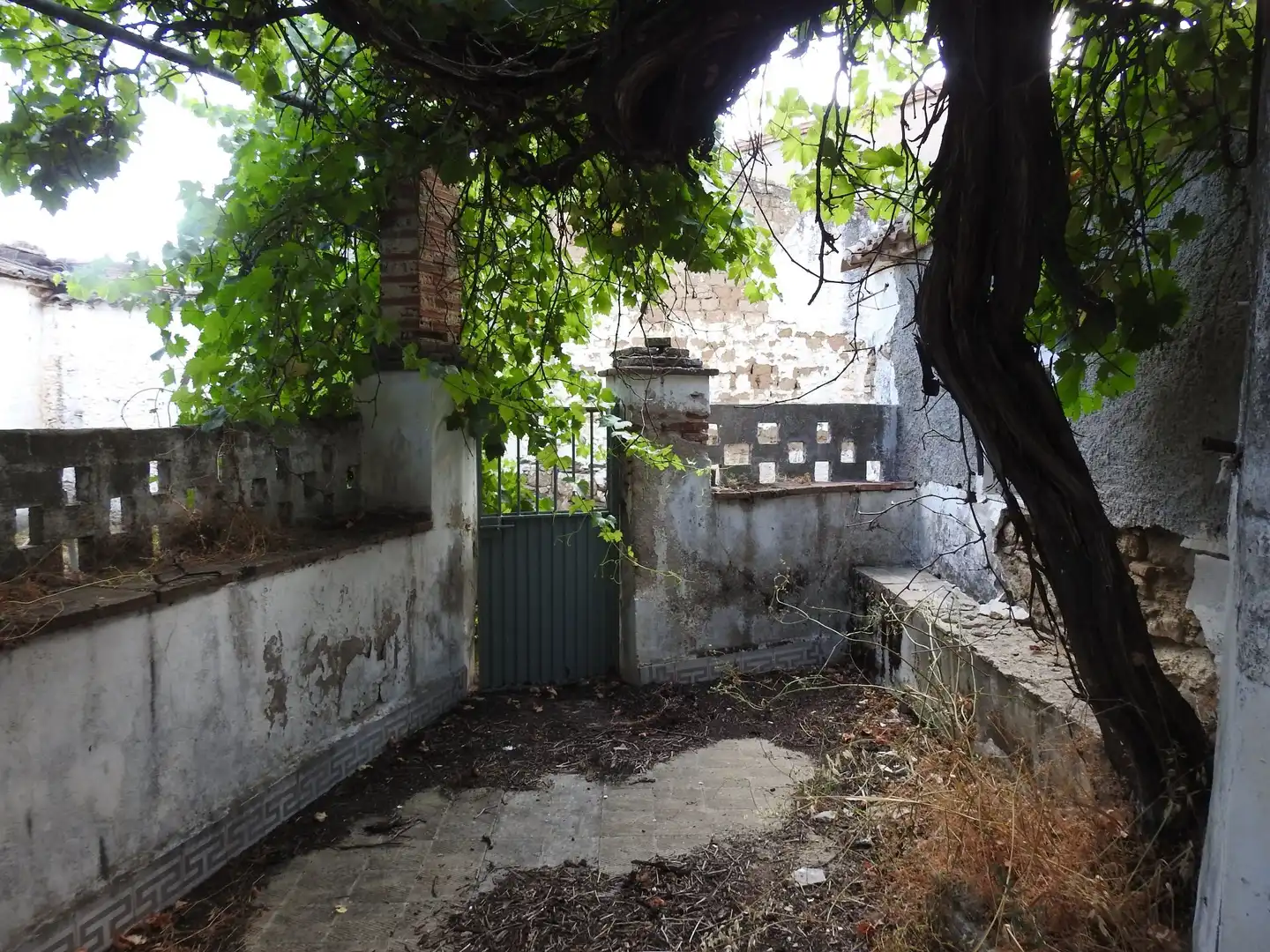 Jardí de Finca rústica en venda en Villar del Pedroso