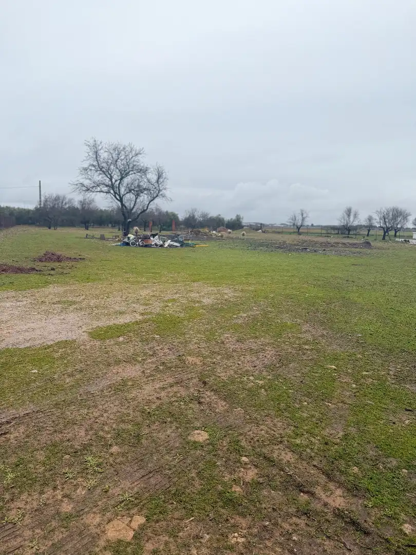 Land for sale in Miguelturra