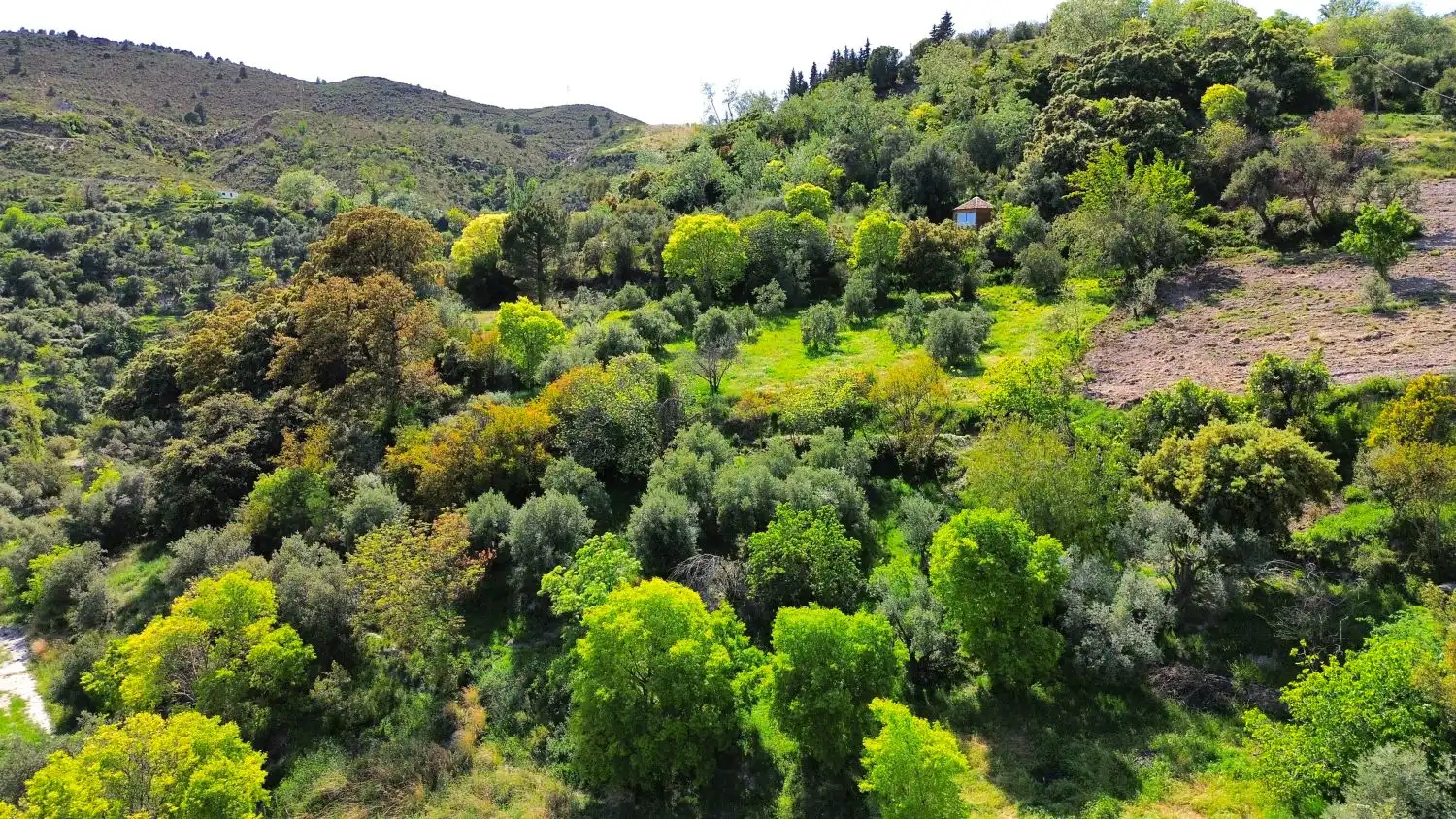 Casa o xalet en venda en Soportújar amb Terrassa
