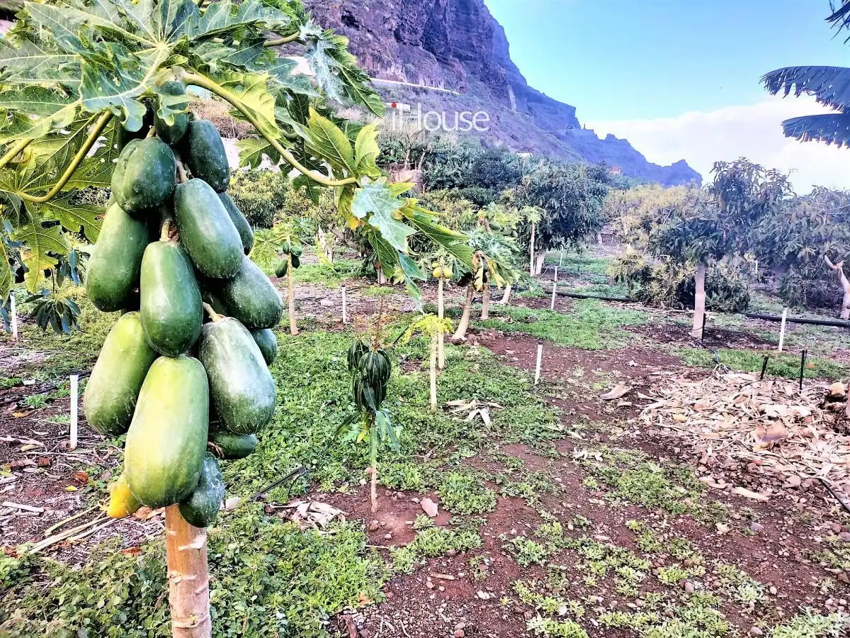 Terreno en venta en PUNTA DE TENO, Buenavista del Norte