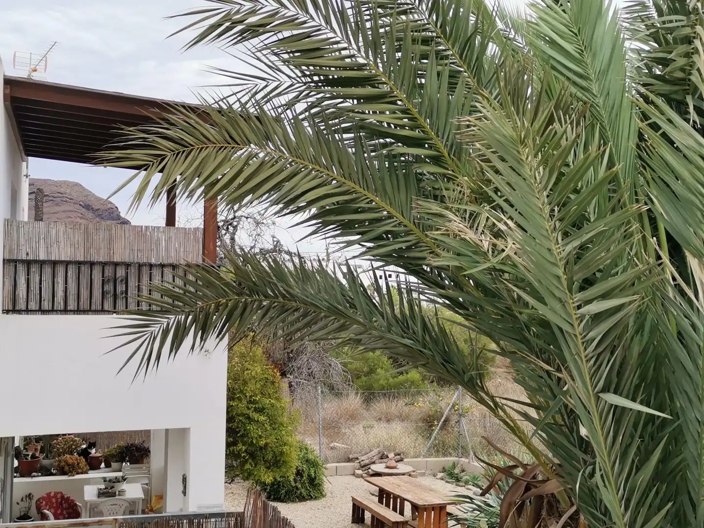 Houses for rent in Calle Ballestrinque, 14, Las Negras