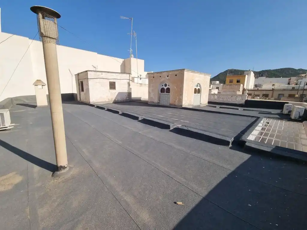 Vista exterior de Casa o chalet en venta en Alhama de Almería con Jardín privado, Terraza y Piscina