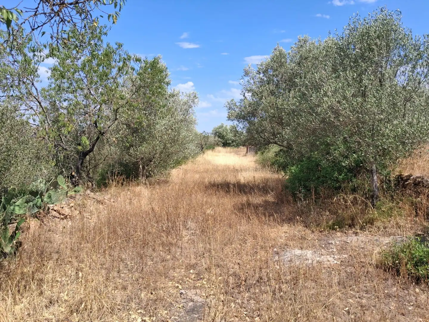 Finca rústica en venda en Tivissa amb Piscina comunitària