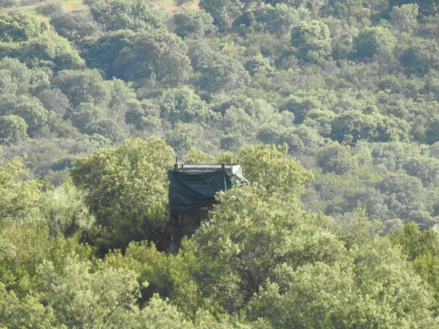 Exterior view of Land for sale in Belvís de la Jara