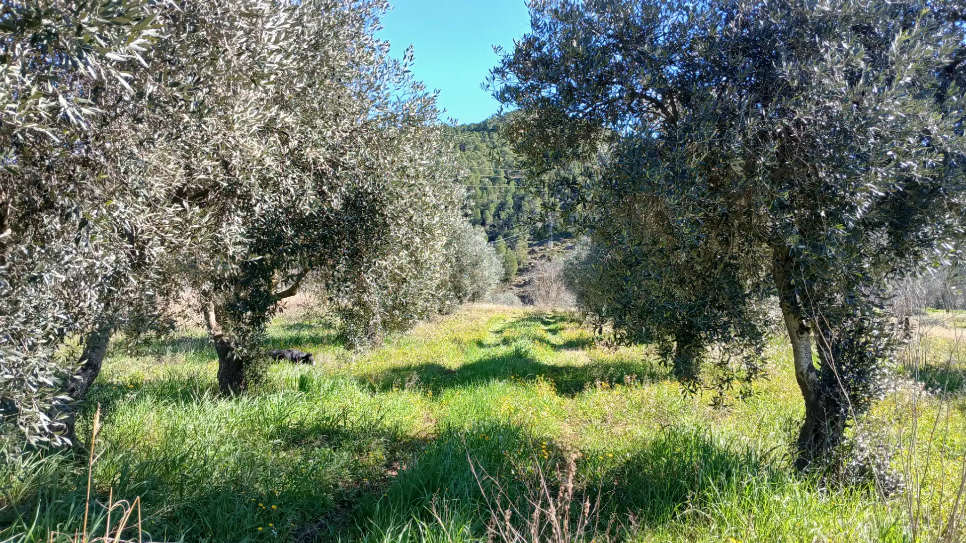Terreni e lotti in vendita a N/A, imagen 2