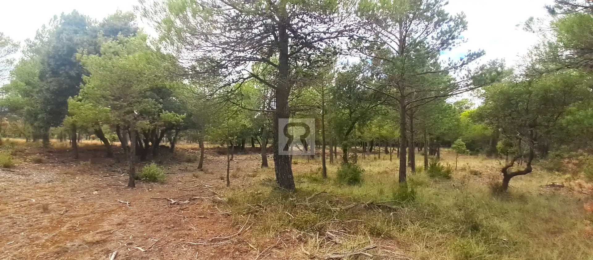 Terrain rustique à vendre à TV-7041 12, imagen 13