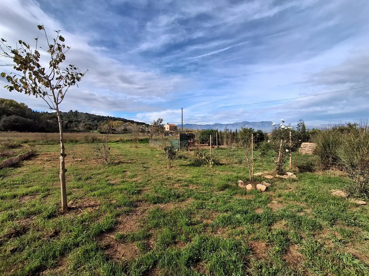 Casa o xalet en venda en Amposta
