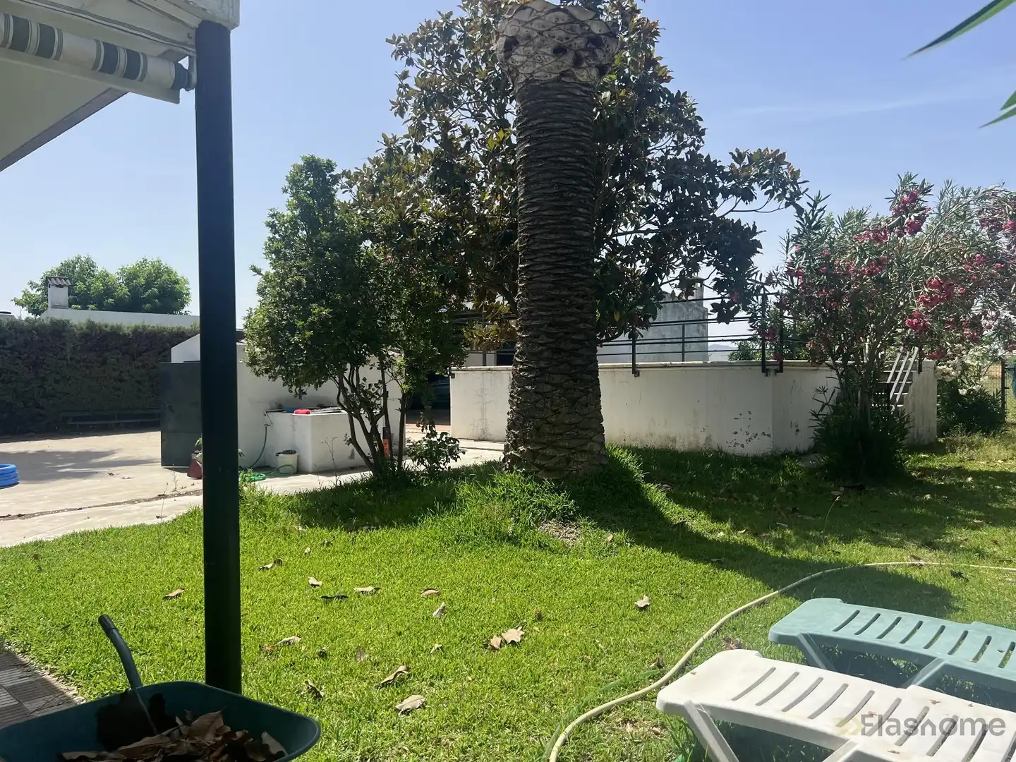 Jardín de Casa o chalet en venta en Santa Amalia con Terraza y Piscina