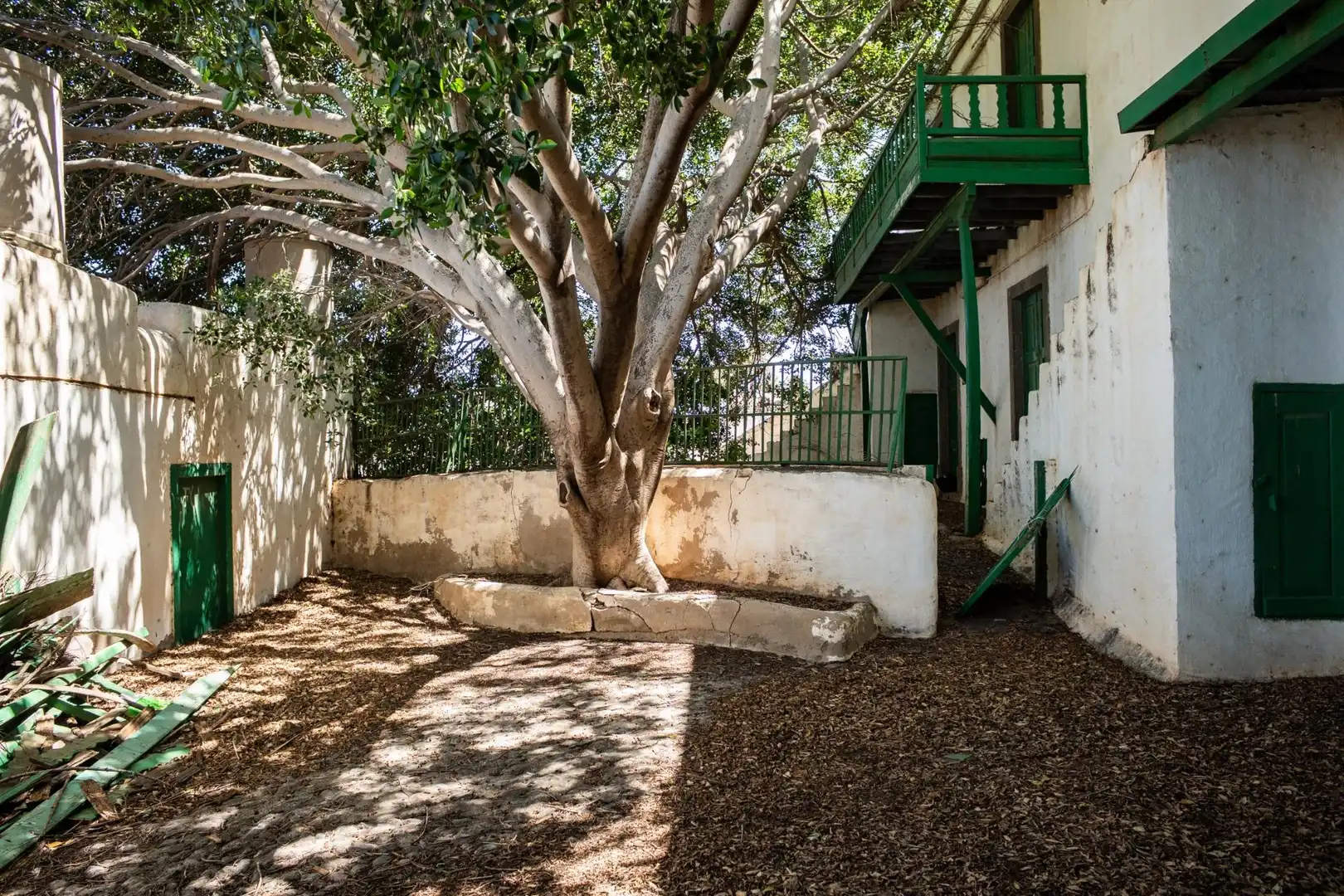 Vista exterior de Finca rústica en venda en Ingenio amb Jardí privat, Traster i Balcó
