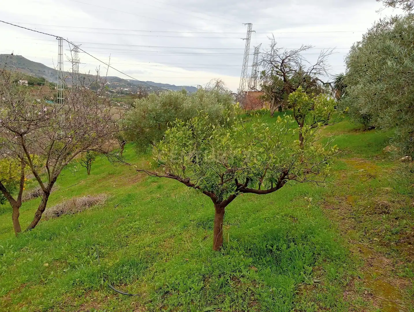 Casa o xalet en venda en Cártama amb Jardí privat, Traster i Piscina