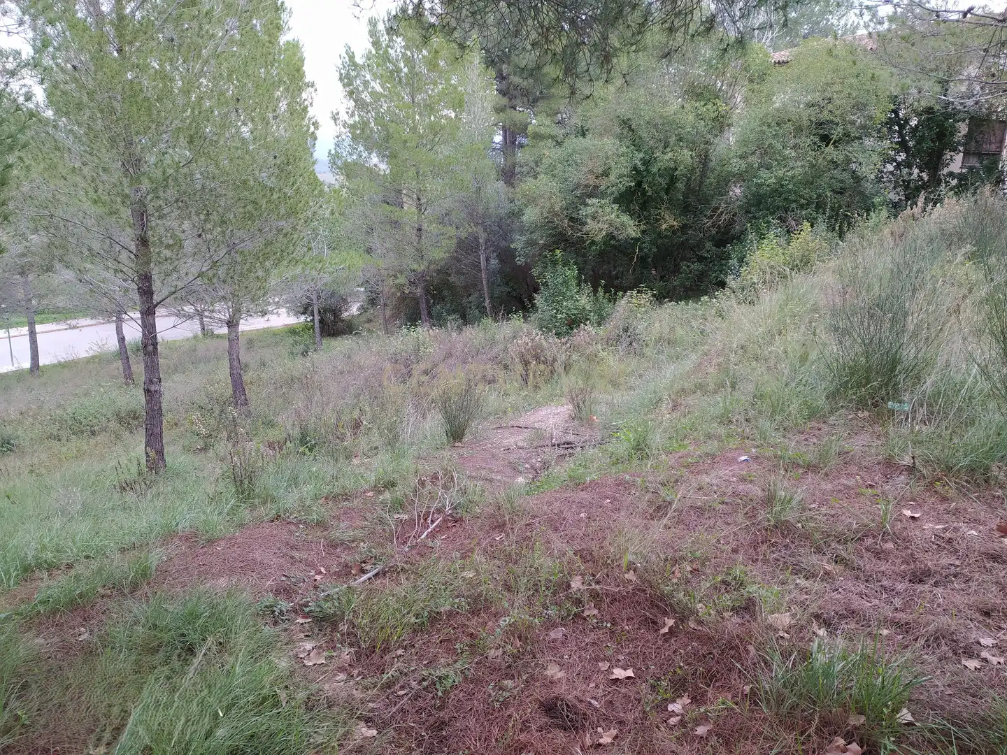 Residential land for sale in Ronda de la Pagesia, Sant Llorenç d'Hortons, Spain 67A, imagen 31