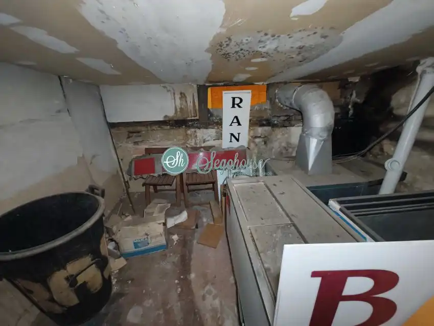 Inmuebles singulares en venta en Centro, imagen 19