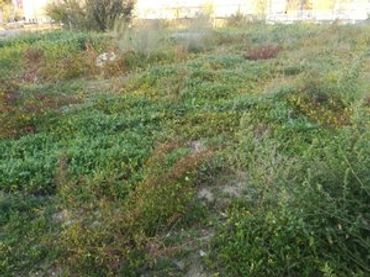 Industrial land for sale in Campodón - Ventorro del Cano