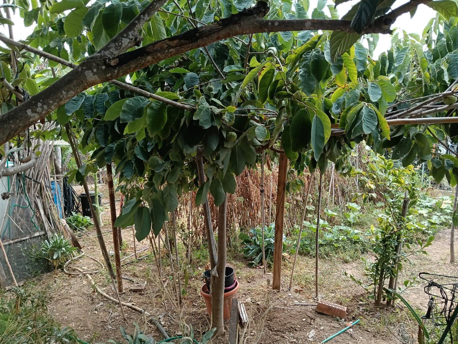 Finca rústica en venda a Nord