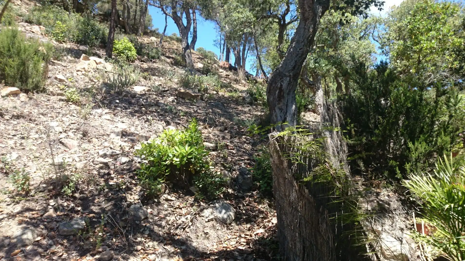 Terrenos y solares en venta en Canyelles, imagen 4