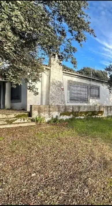 Vista exterior de Casa o chalet en venta en Torreorgaz con Jardín privado, Trastero y Amueblado