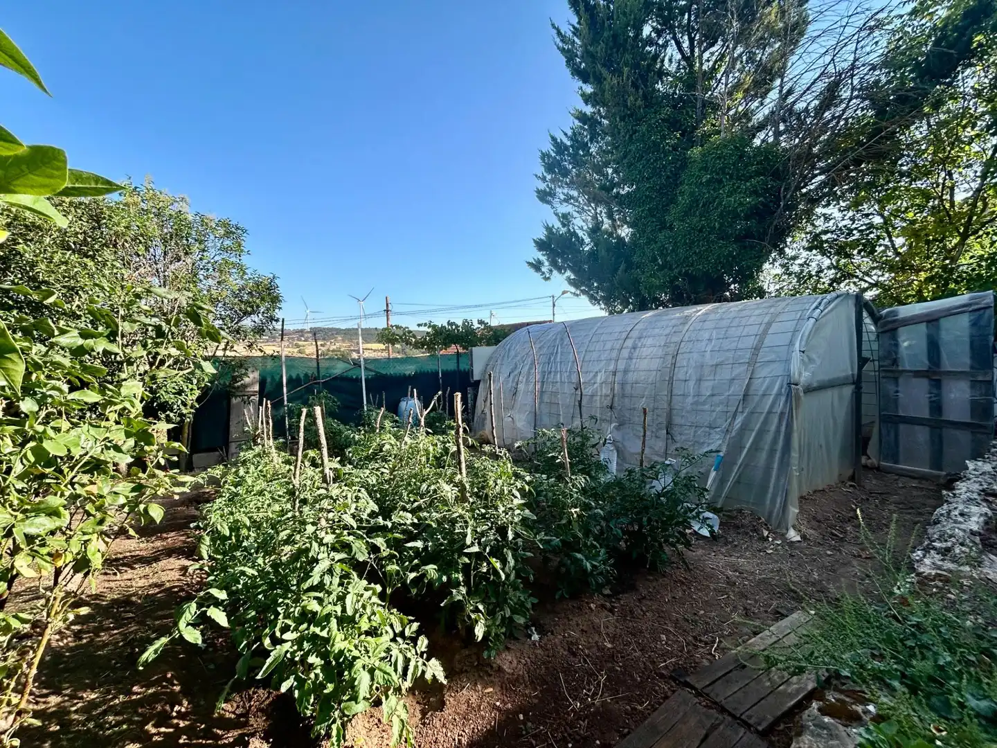 Jardín de Casa o chalet de alquiler en Modúbar de la Emparedada con Calefacción, Terraza y Balcón