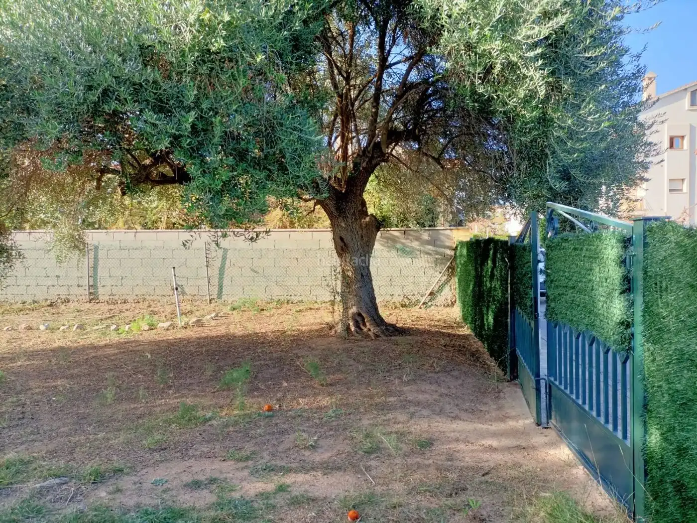 Terreno residenziale in vendita a Carrer Massó 12, imagen 4