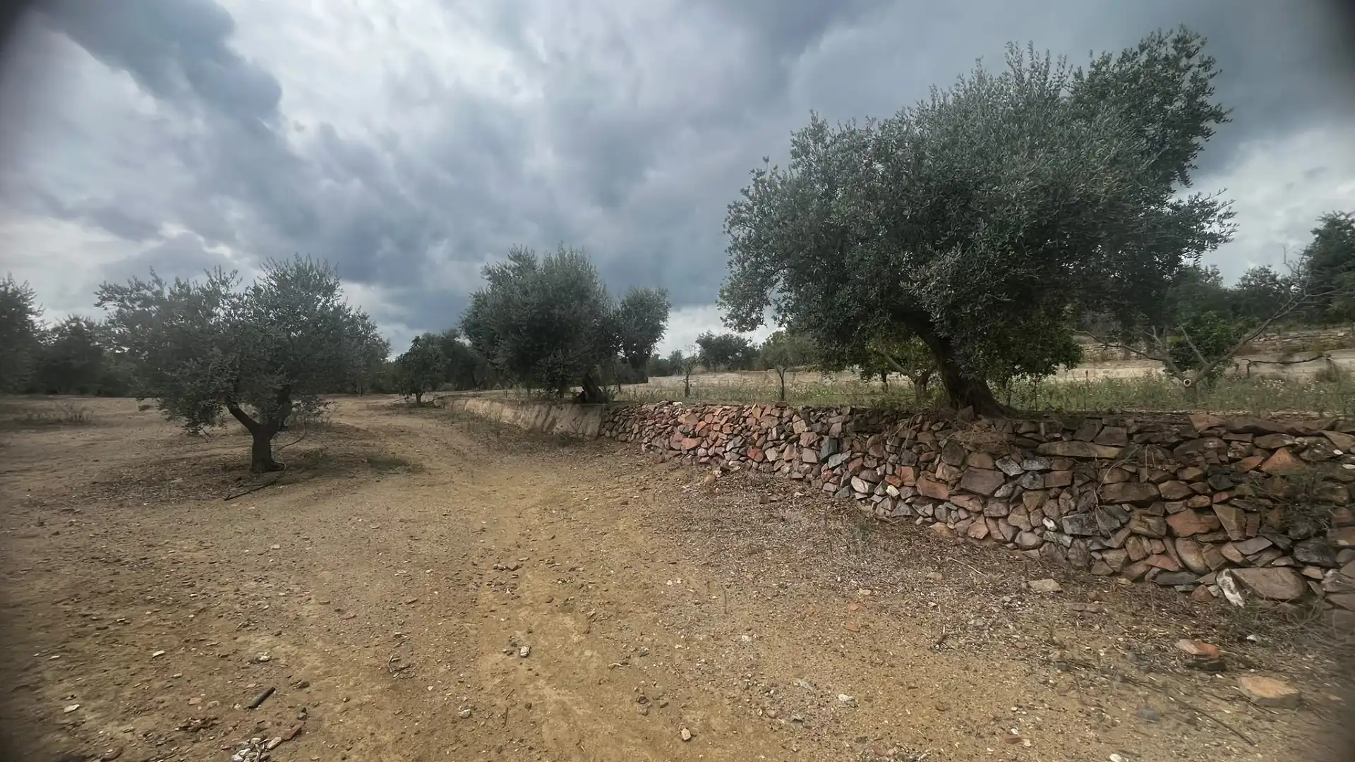 Terreno rustico in vendita a Carrer de Sant Abdó i Sant Senén, imagen 27