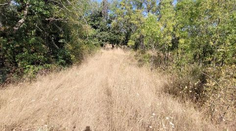 Finca rústica con acceso directo en Sanchotello, imatge 3