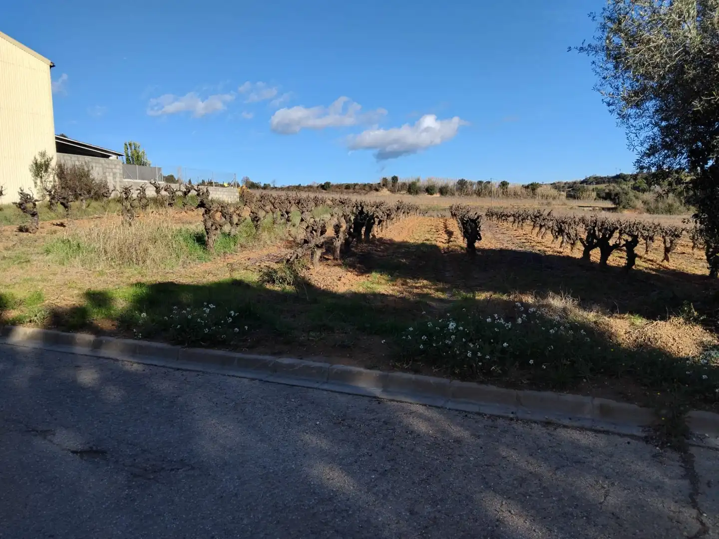 Residencial en venda a Sant Llorenç d'Hortons