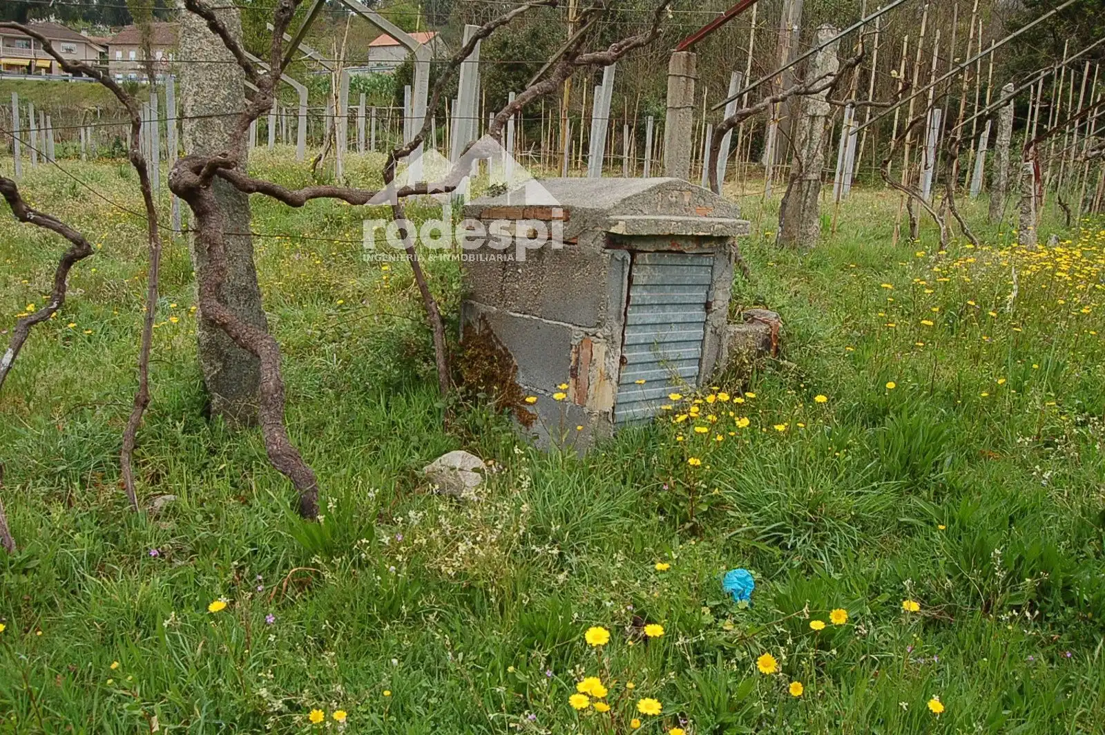 Terrain rustique à vendre à As Neves, imagen 5