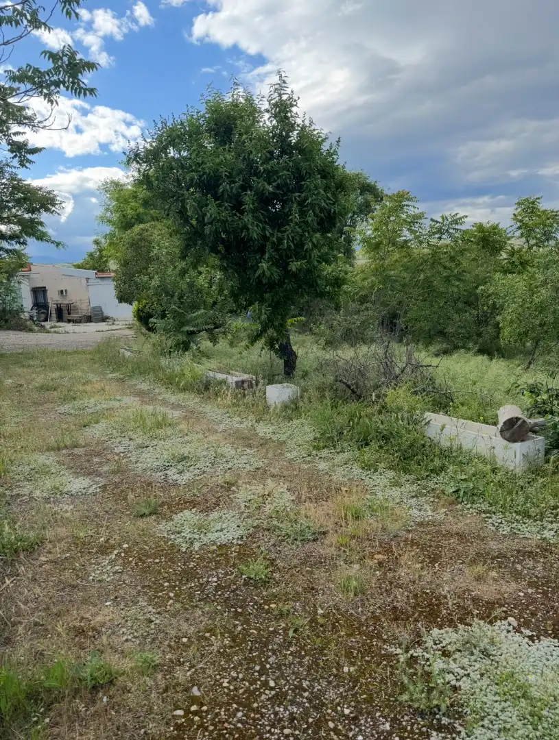 Finca rústica en venta en El Molar (Madrid) con Jardín privado, Terraza y Trastero