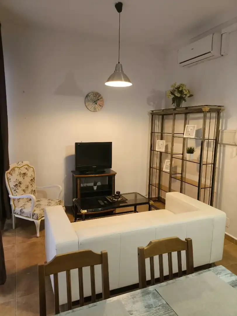 Living room of Flat for rent in Centro