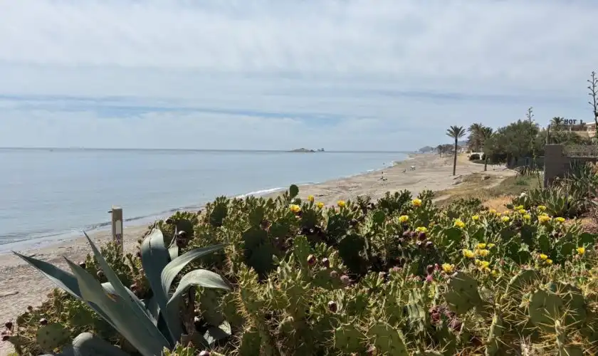 Außenansicht von Einfamilien-Reihenhaus zum Verkauf in Carboneras mit Klimaanlage, Terrasse und Abstellraum