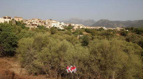 Solar urbano en Campanet, Mallorca, Islas Baleares, immagine 2