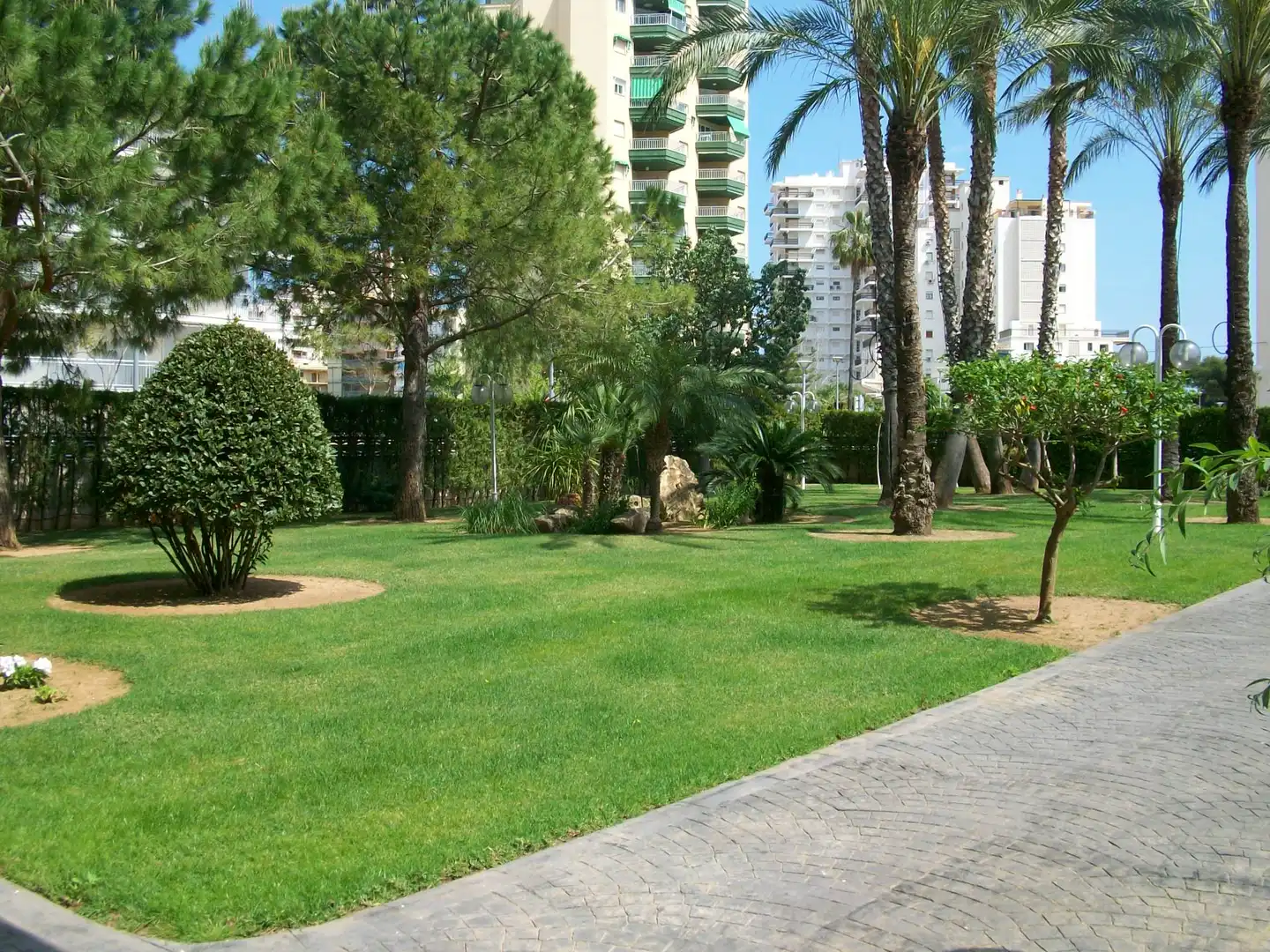 Apartament amb terrassa de lloguer a Playa de Gandia, imagen 40