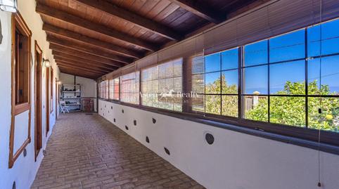 Foto 3 de Casa o xalet en venda a El Mazapé, Icod El Alto, Santa Cruz de Tenerife