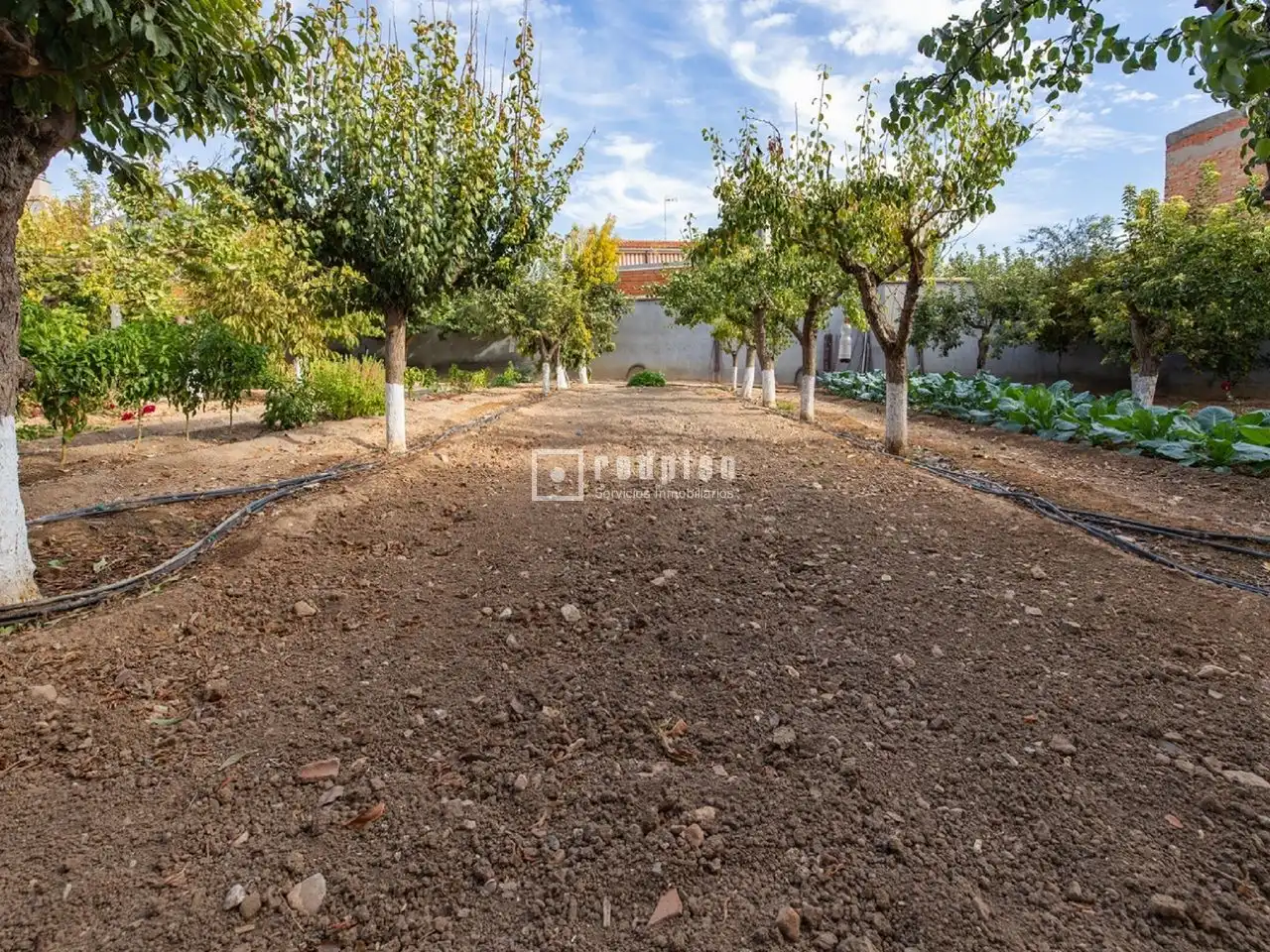 Casa o chalet en venta en Madridejos con Aire acondicionado, Calefacción y Terraza