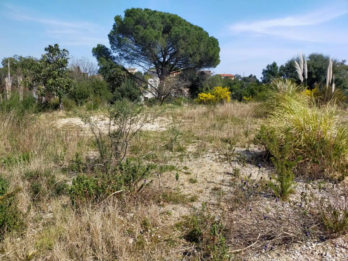 Residential for sale in Riells i Viabrea