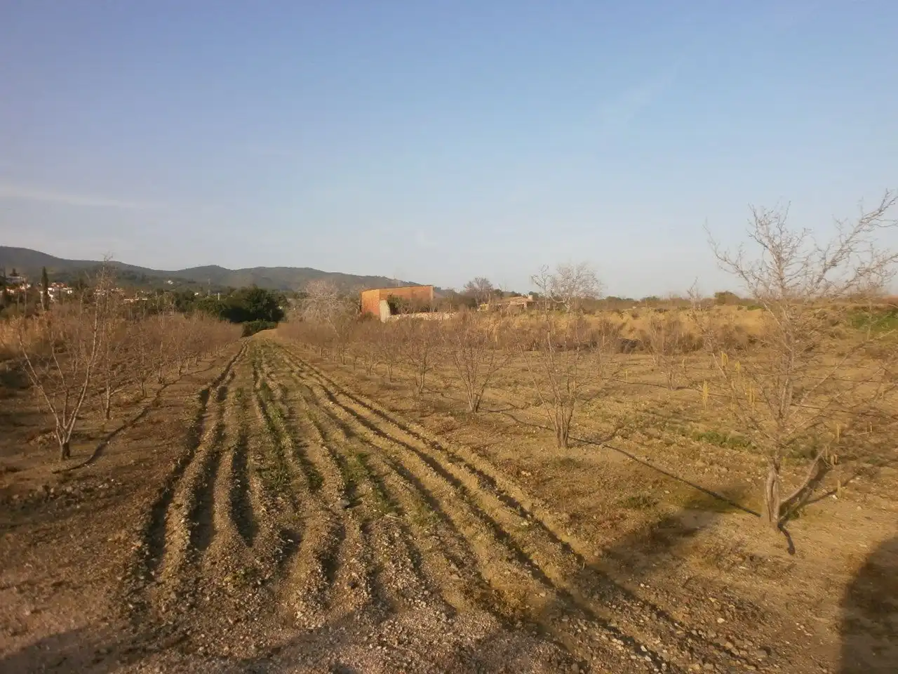 Land for sale in Castellvell del Camp
