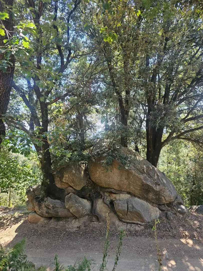 Finca rústica en venda en Riells i Viabrea amb Jardí privat i Traster