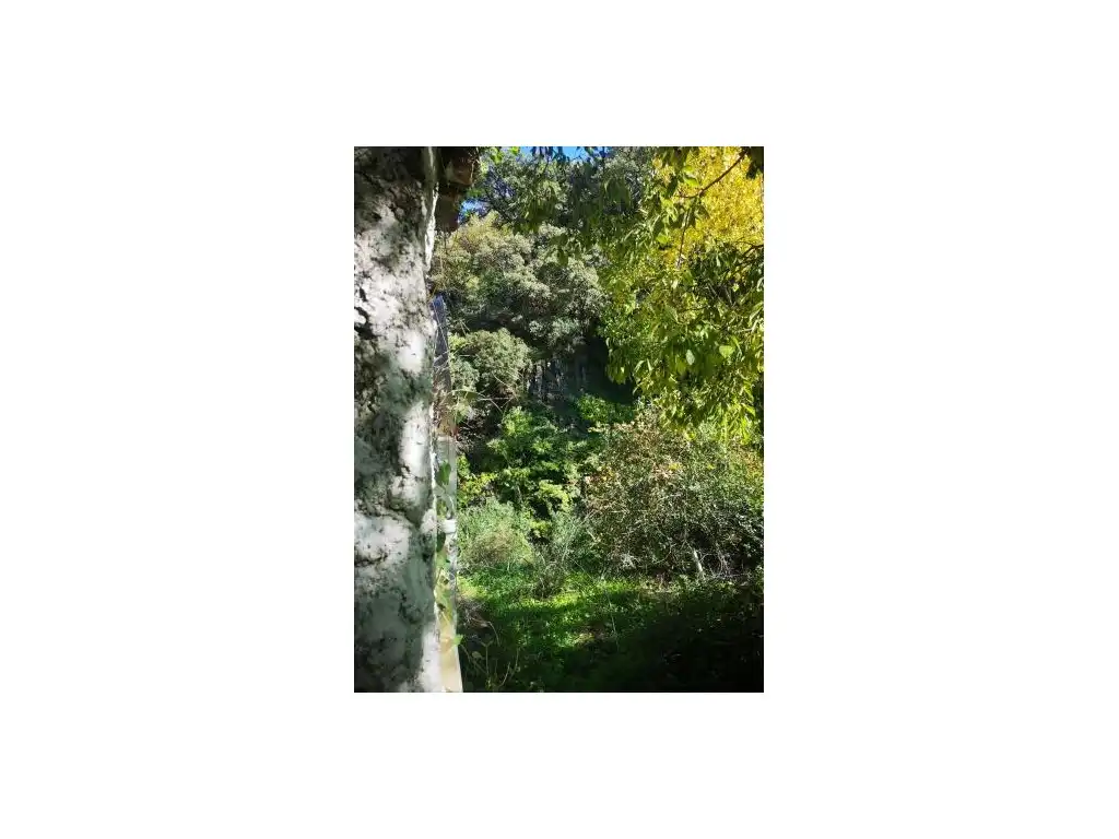 Jardí de Casa o xalet en venda en Genalguacil