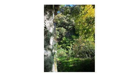 Foto 3 de Casa o xalet en venda a Genalguacil, Málaga