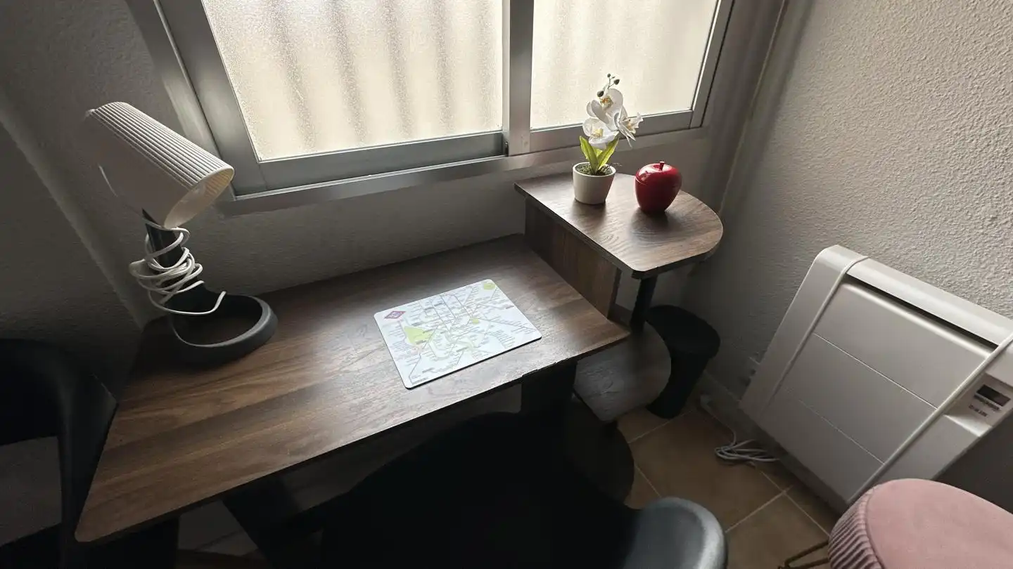 Menjador de Planta baixa per a compartir en Madrid amb Moblat