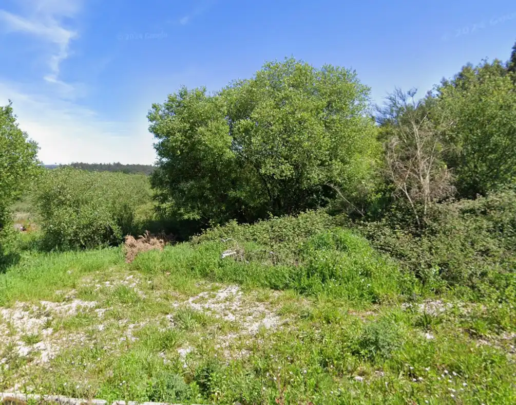 Rural land for sale in Rosende 17