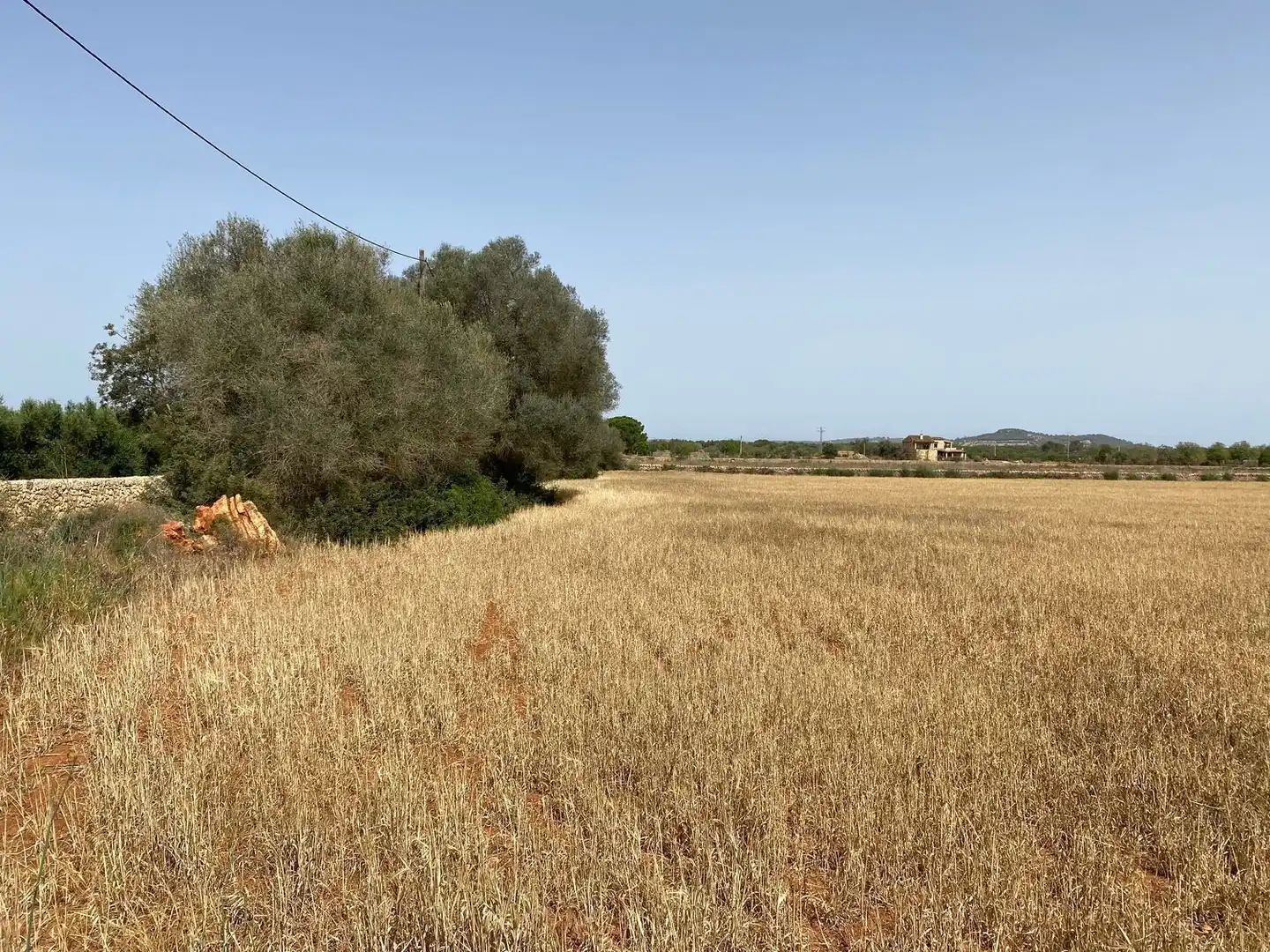 Terrenys i solars en venda a Felanitx Poble, imagen 8