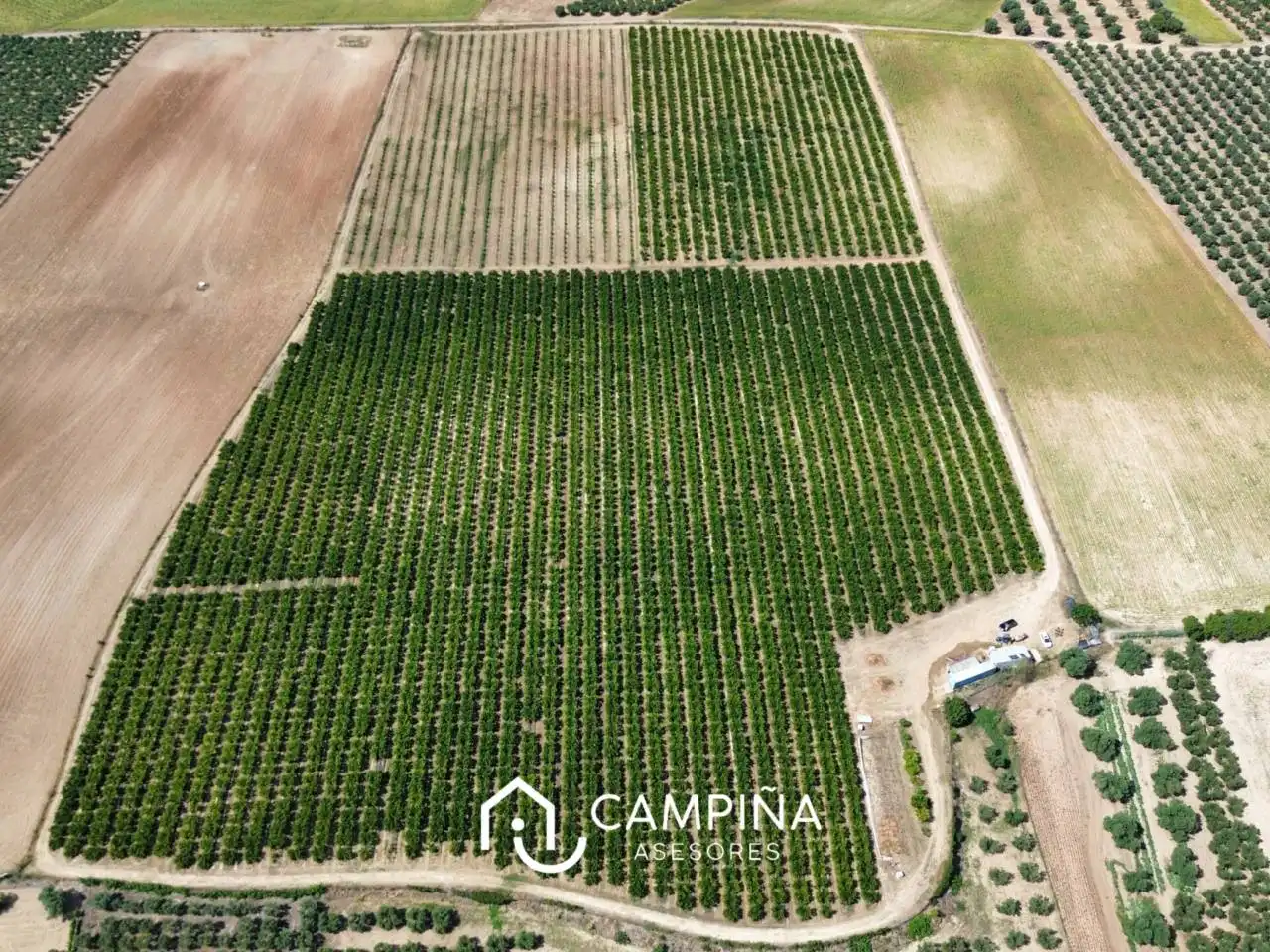Terrenos y solares en venta en Carretera Nacional 431