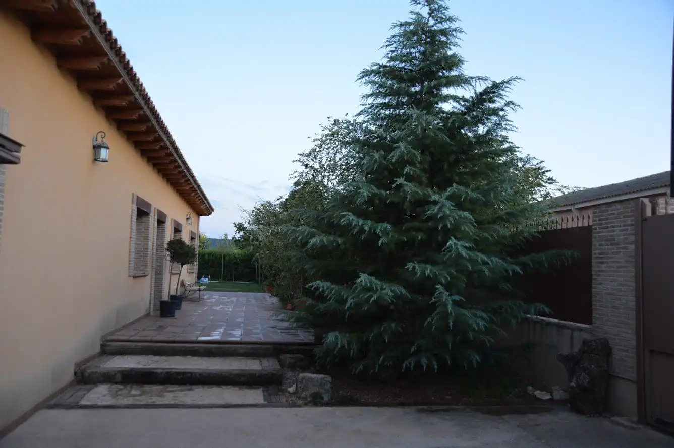 Jardín de Casa o chalet en venta en Torre del Burgo con Aire acondicionado, Jardín privado y Terraza