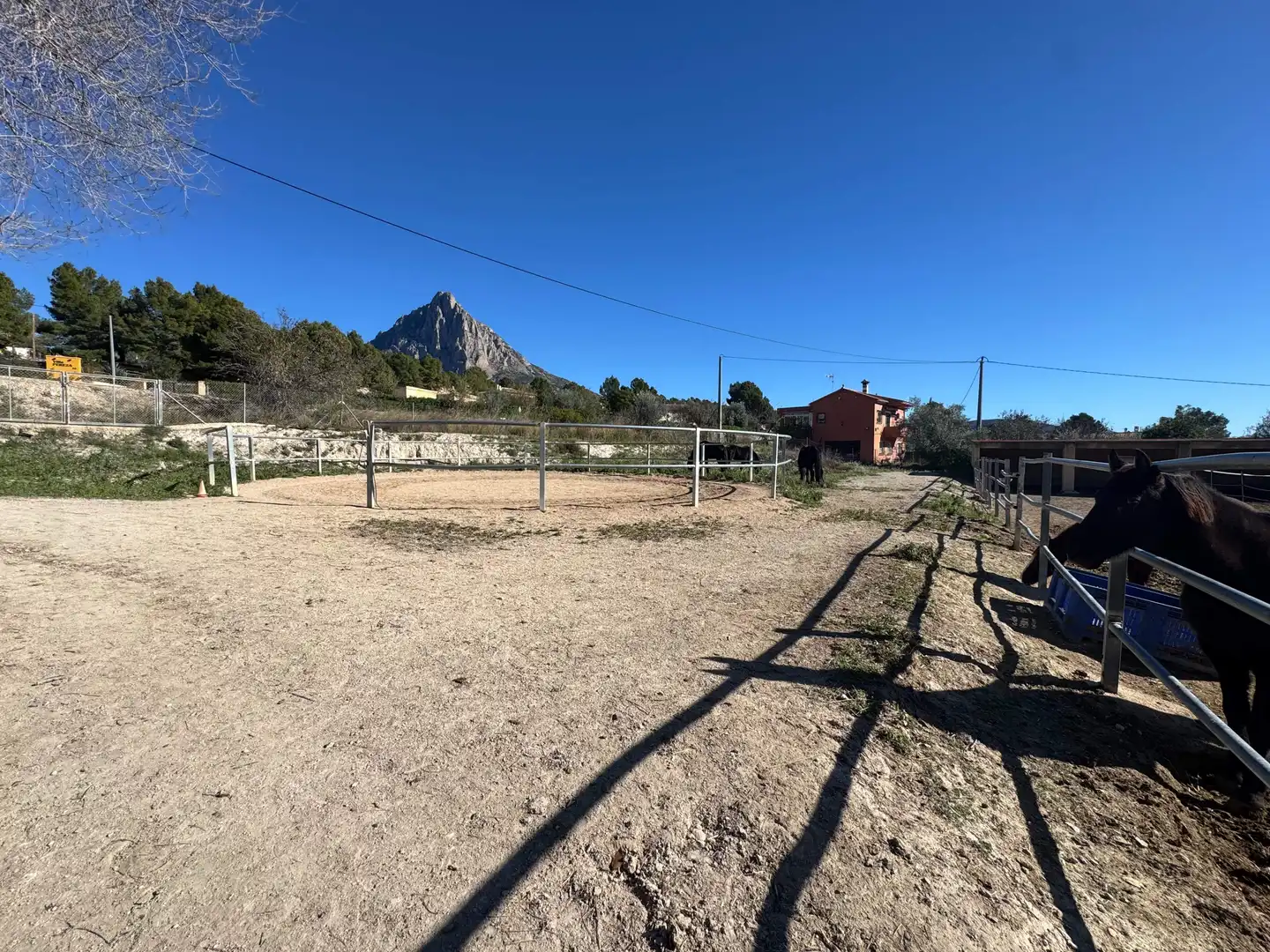 Landhaus zum Verkauf in Partida Partida l'Atzubia, imagen 77