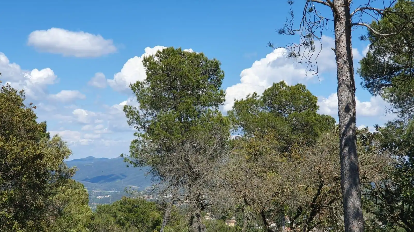 Terreny residencial en venda a Carrer Carrer de Domènech Roura 461, imagen 5
